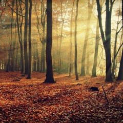 Session 2016 - 01 - 13