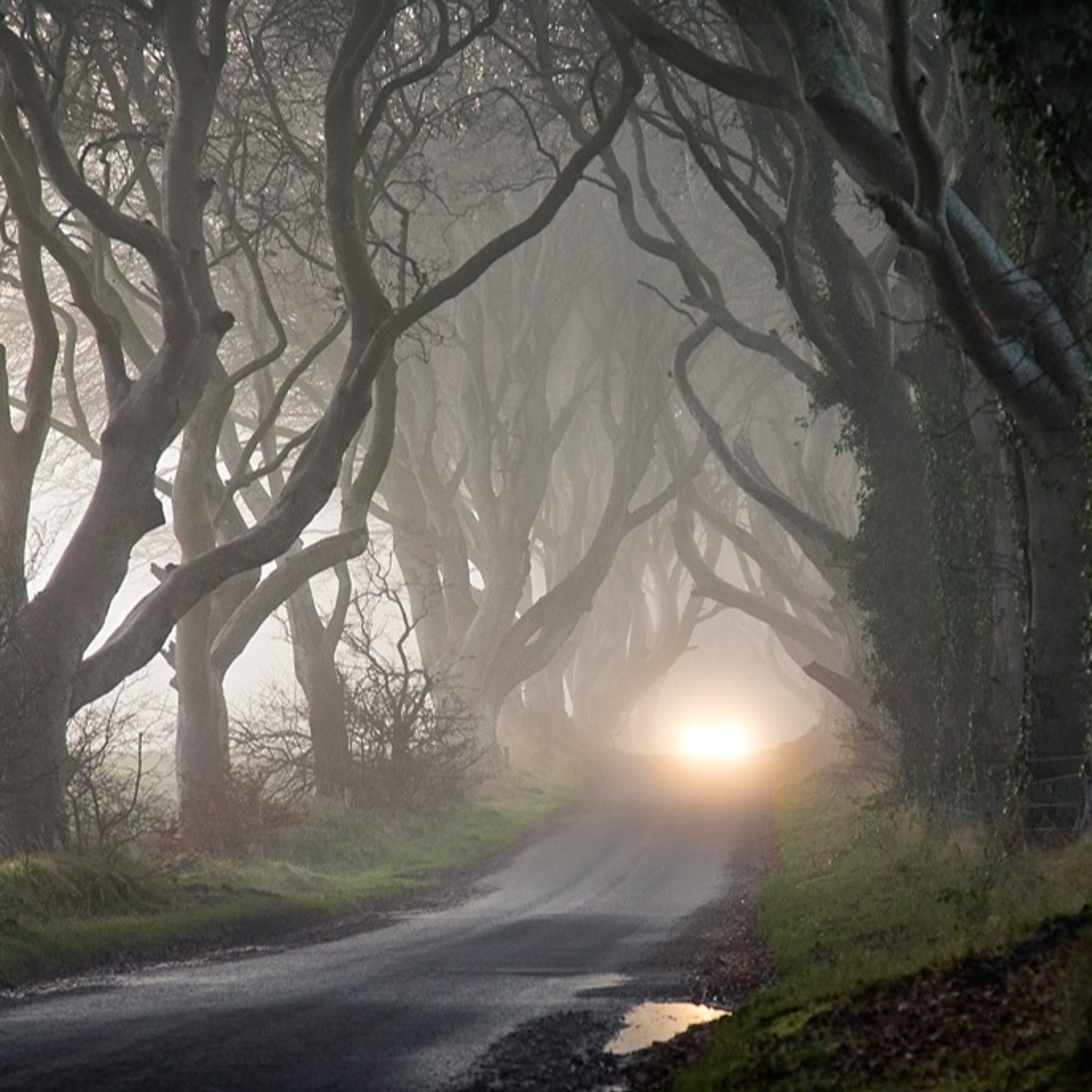 Clear the Fog and YOU Become the Adventure episode artwork