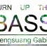 Turn up the bass (original mix)