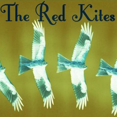 The Red Kites - Don't It Make You Sad