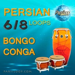 Parsiloop Bongo And Conga Loops Demo