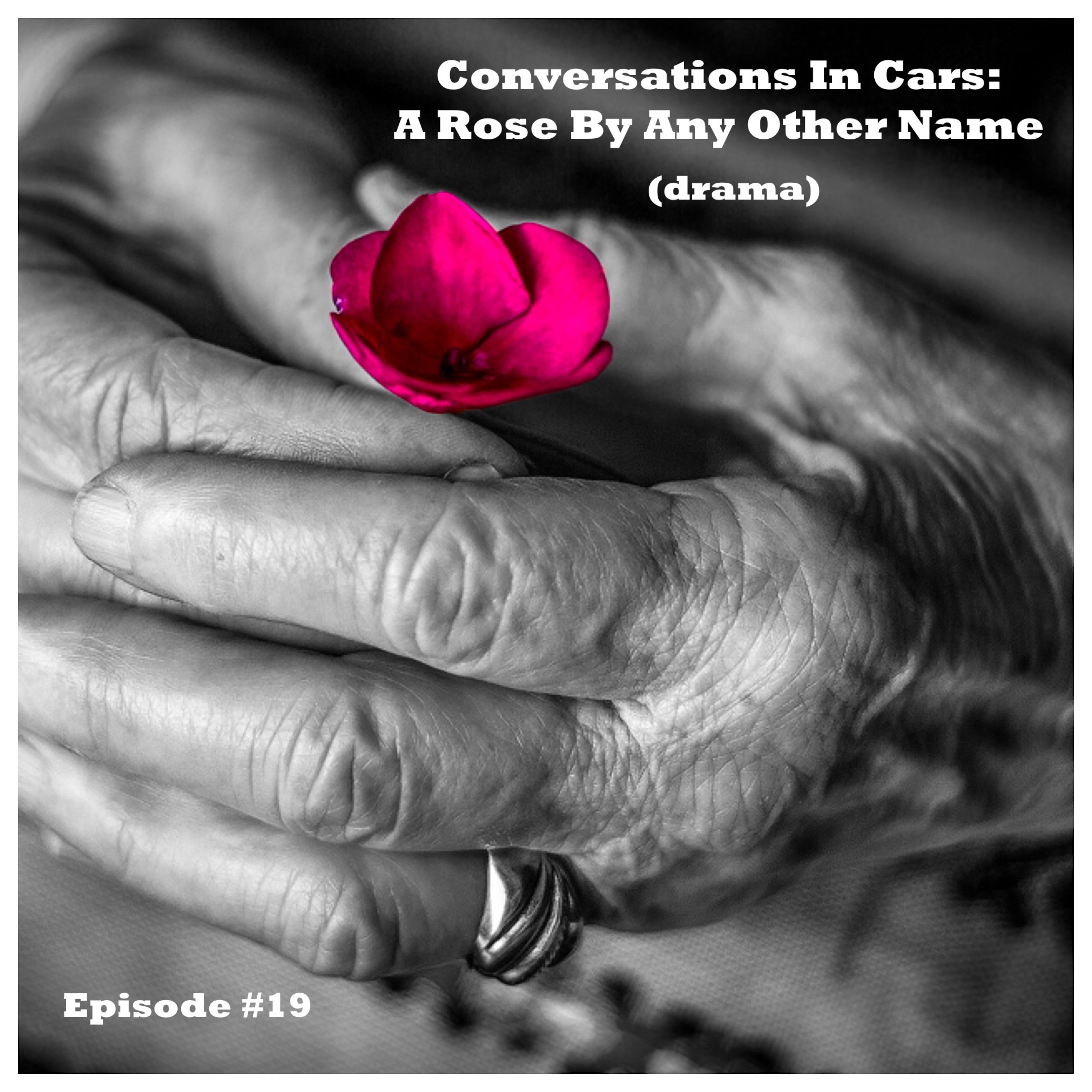 Episode #19 - Conversations In Cars - A Rose By Any Other Name episode artwork