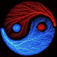 Bass/Dubstep