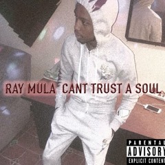 RAY MULA - CANT TRUST A SOUL