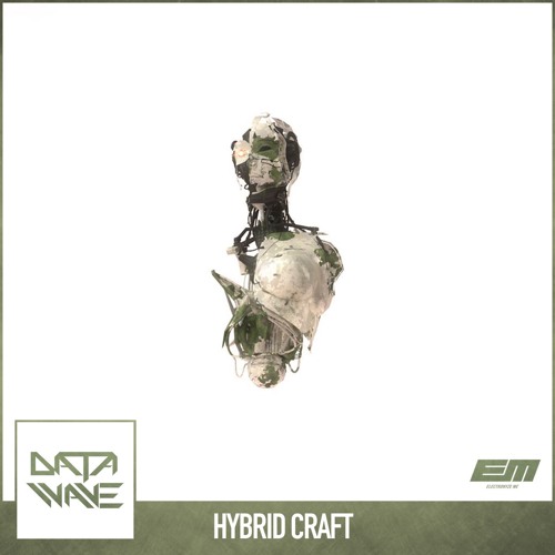 Data Wave - Hybrid Craft