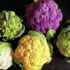 fresℎ. daily 05.08.2016