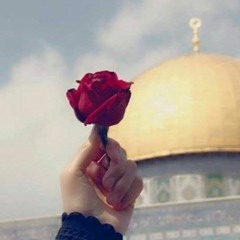 اناشيـد بدون موسيـقي ^_^