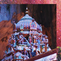 Champignons des Bois