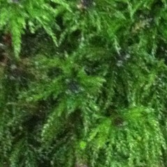 beastdout - The 67th Floor