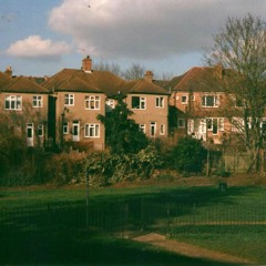 うんちの公園でキノコ