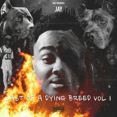 Jay- Off The Meter (Freestyle)