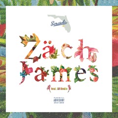 Sarasota (feat. Lil Undie)