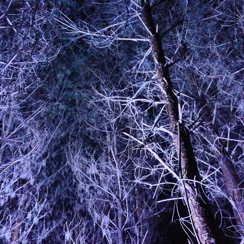 Paris by The Cubic Fjord