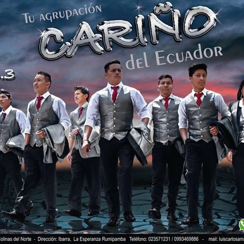 Agrupacion Cariño Del Ecuador Vol 3 - Pecado De Amor