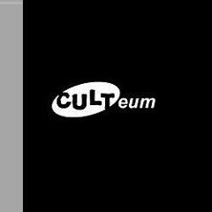 Timo Luecke @ Culteum Karlsruhe 07.05.2016