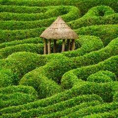 Jynx [Prod. by Steez76D]