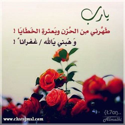 لا يَسلم أحد من الزلل | الشيخ : محمد العوضي ~