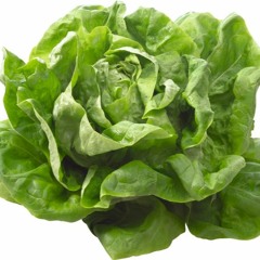 Now We Have The Salad
