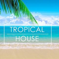 Tropical House Vibage