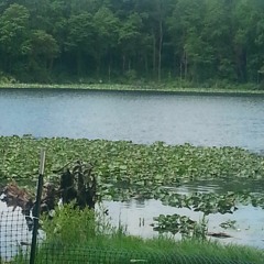 The Sure - Take Me/Blind Live @Browntown