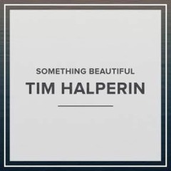 Something Beautiful - Tim Halperin