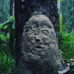 naturæ
