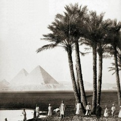 مصر اللي بجد