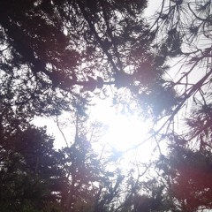 Old Hat, New Gloves - Flooty