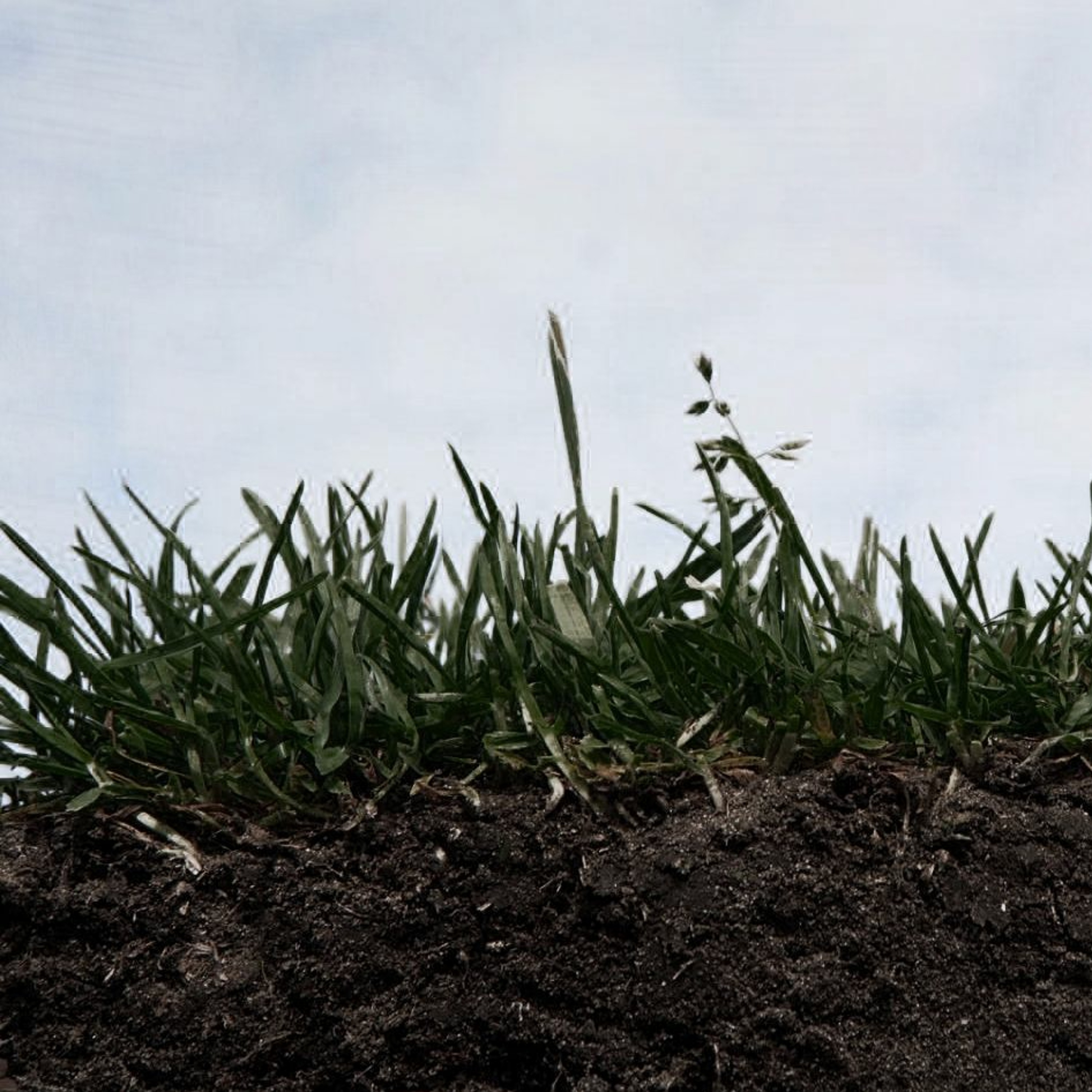 Sound Inside Ground episode artwork
