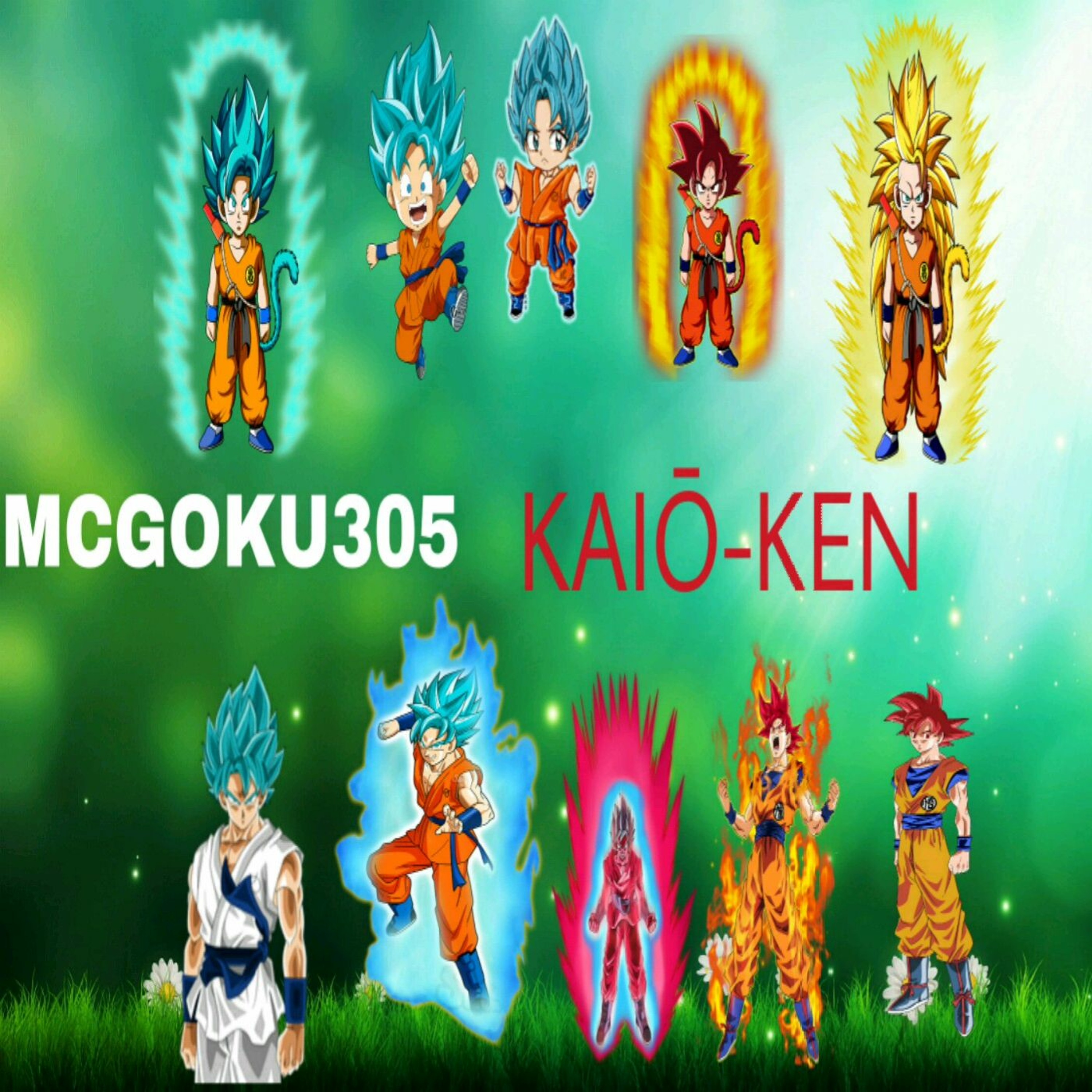 MCGOKU305