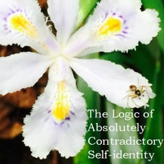 The Logic Of Absolutely Contradictor Self - Identity