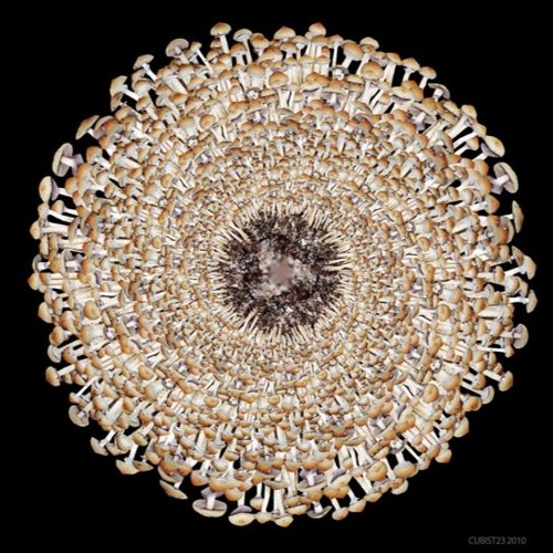 Ghost Root - Summer 2016 Promo Mix