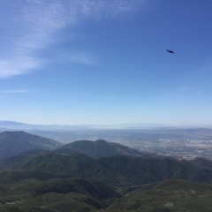 Bottled Water: Do We Really Need it? BBC Food Chain