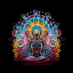 1200 Micrograms - DMT