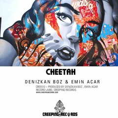 Denizkan Boz & Emin Acar - Cheetah (Original Mix)