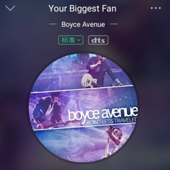 Boyce Avenue - Your Biggest Fan