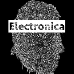 Milu Electronica 2.0 Warmup 22.04.2016