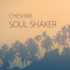 Soul Shaker