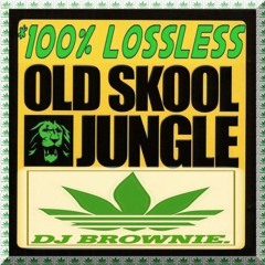 Pure Old Skool Jungle (HD) - DJ Brownie