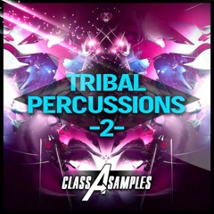 ► TRIBAL PERCUSSIONS 2 ► OUT NOW!