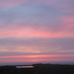 PS Skokholm ManxShearwatersReturningToBurrows 11.56pm 04.05.16 ShortClip