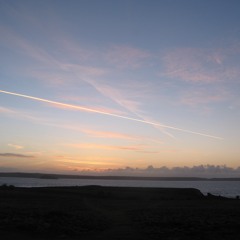 PS Skokholm ManxShearwater InBurrow MonoLav ShortClip 10.30pm 04.05.16 4.5