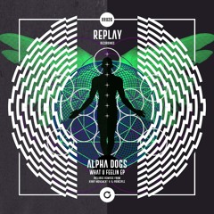 Alpha Dogs - What U Feelin - Replay Recordings 027 - Pj Principle Remix