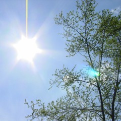 Shine a light - Christiane Spruit & Claudia Reusner