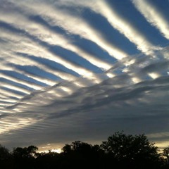 ARIES, GOLD, BEVAN & ANDY SIM FT LION ART - CHEM TRAILS