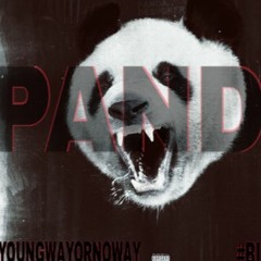 Bizzy- Panda