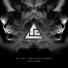 SOFI TUKKER - Hey Lion (Tom & Collins Remix)