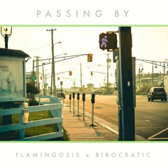 Birocratic x Flamingosis - Passing By