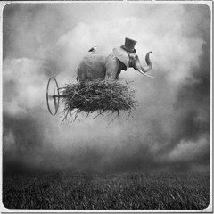 Flying Elephants Instrumental Prod By Joe Venec free download.