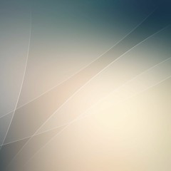 Geometries II: Space Fields